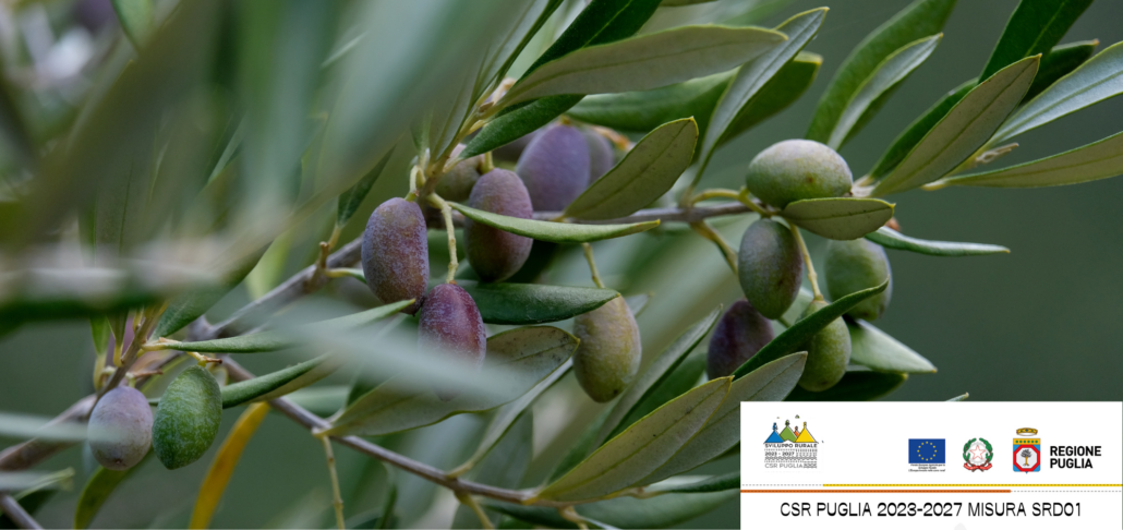 Agricoltura di Precisione (5)