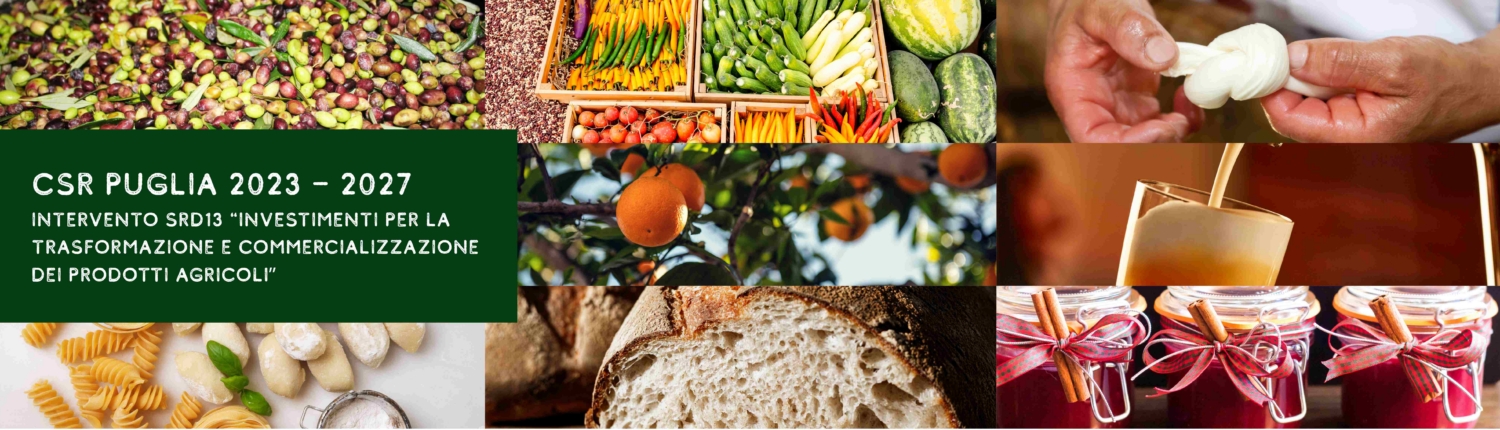 Copia di BANNER SITO (14)